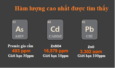 THỨC ĂN BỊ NHIỄM KIM LOẠI NẶNG NHƯ THẾ NÀO?